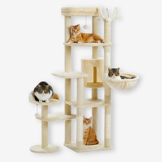 Grand Arbre à Chat pour Gros Chat