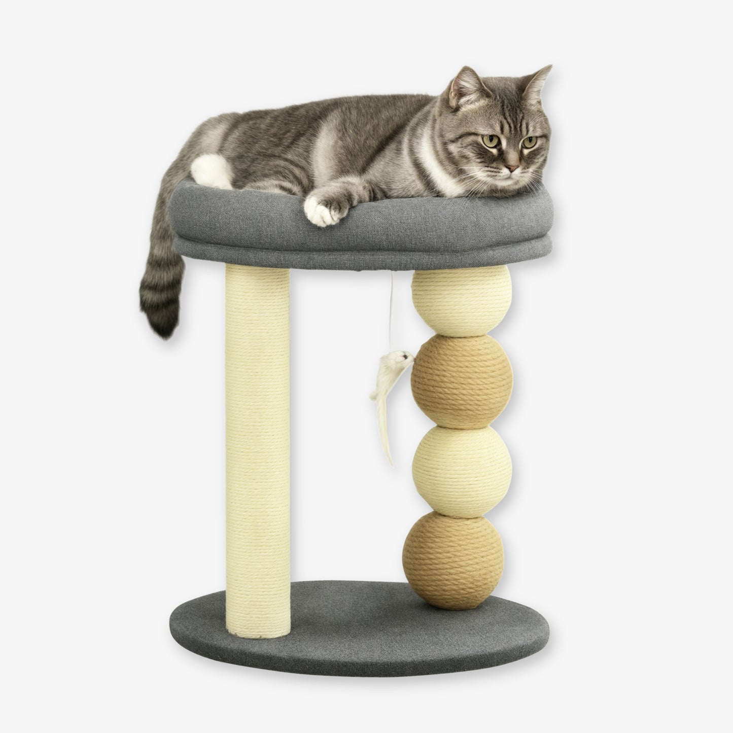 Petit Arbre à Chat 1 Plateforme