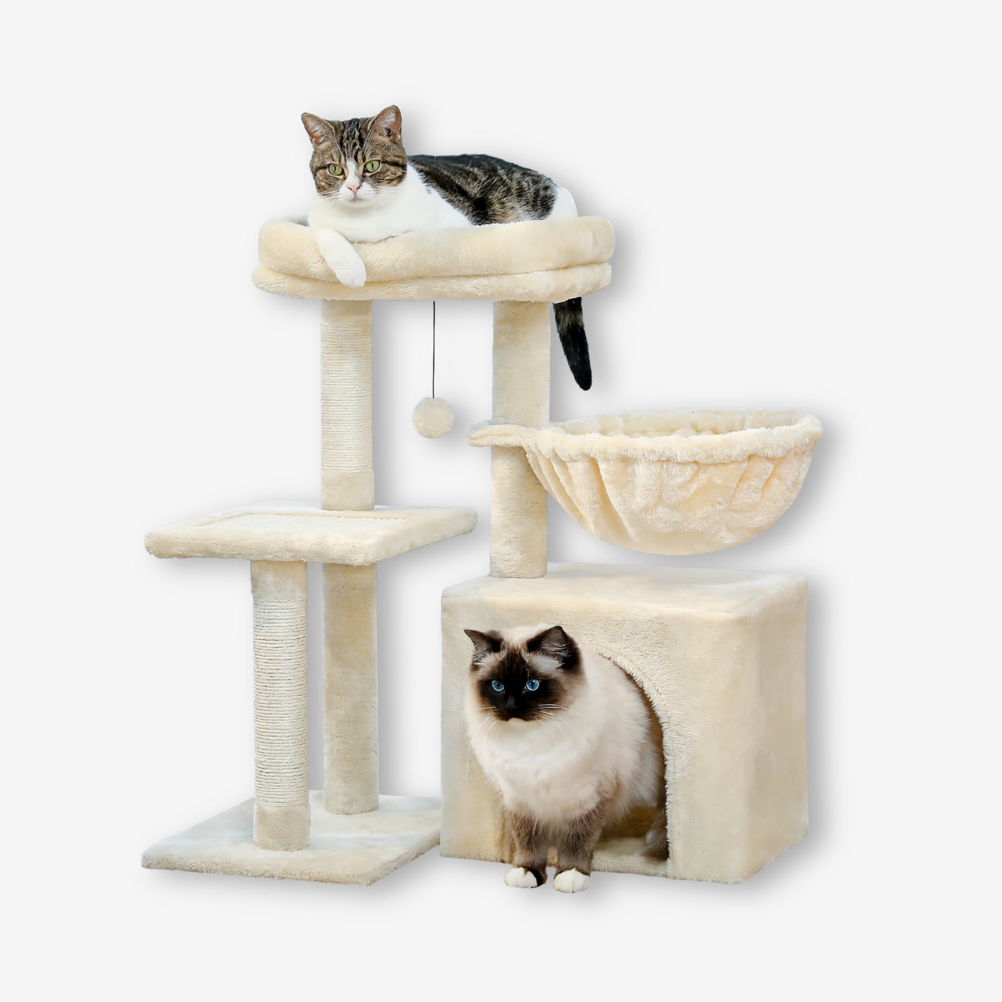 Petit Arbre à Chat Beige