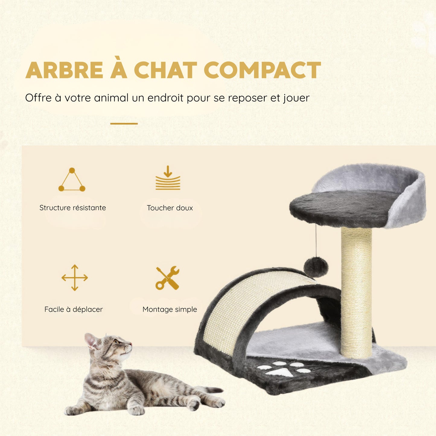 Petit Arbre à Chat Chaton