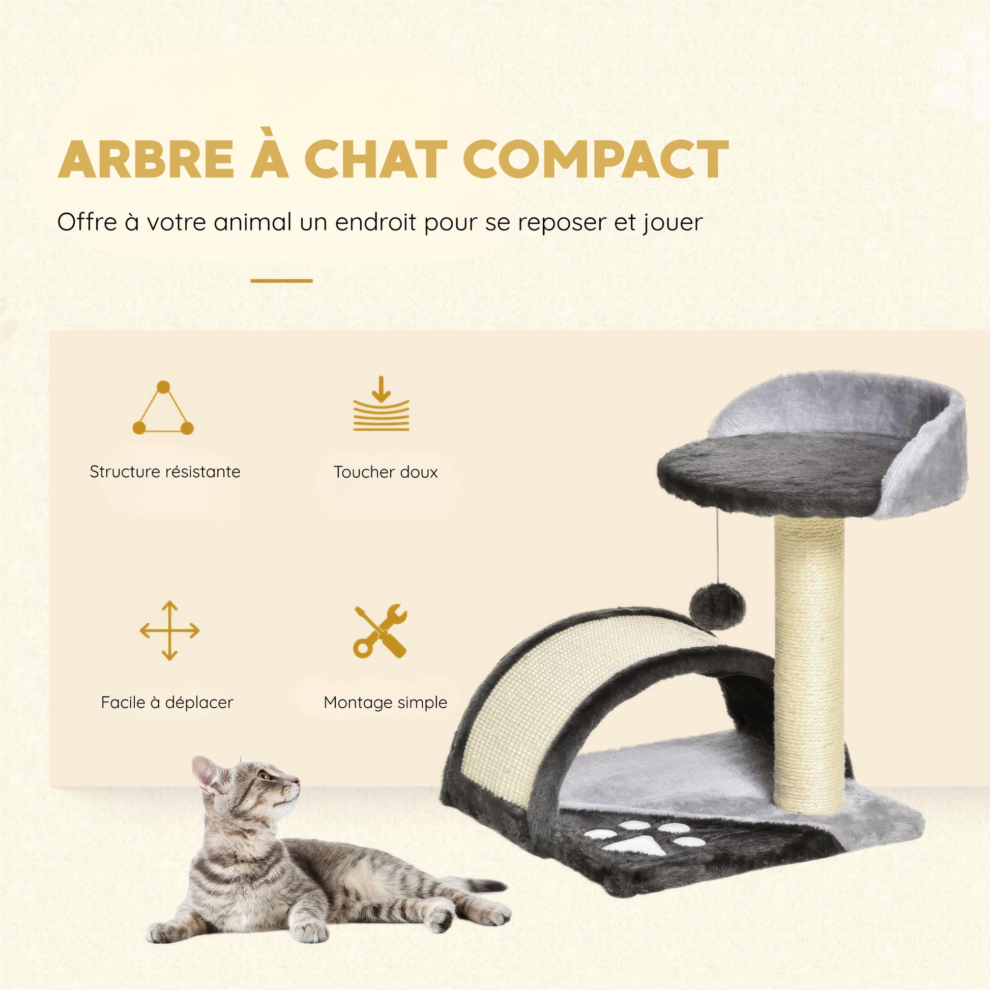 Petit Arbre à Chat Chaton