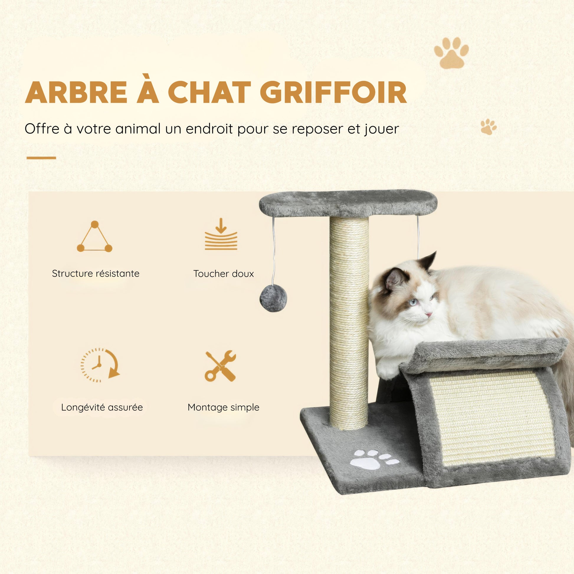 Petit Arbre à Chat Griffoir