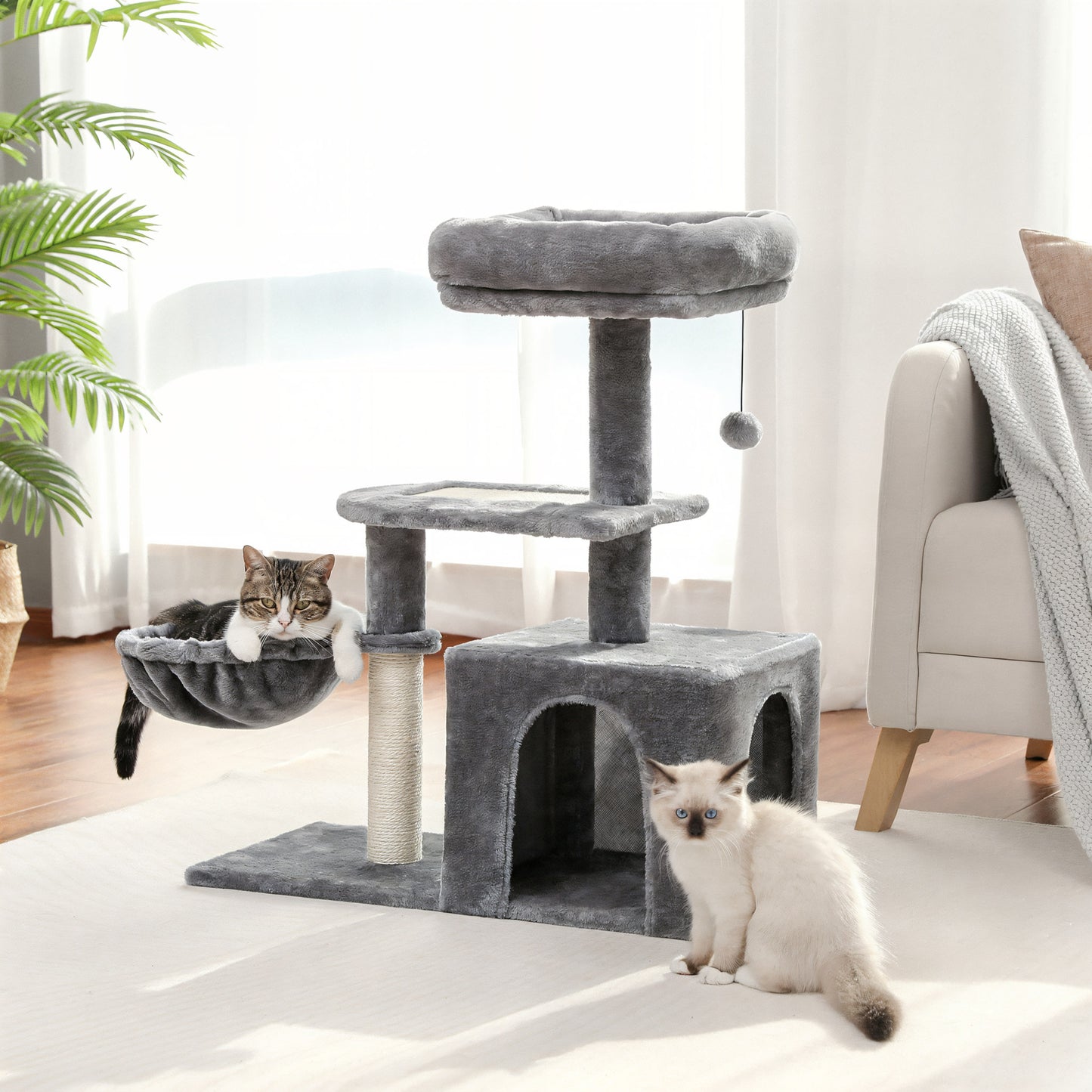 Petit Arbre à Chat Gris