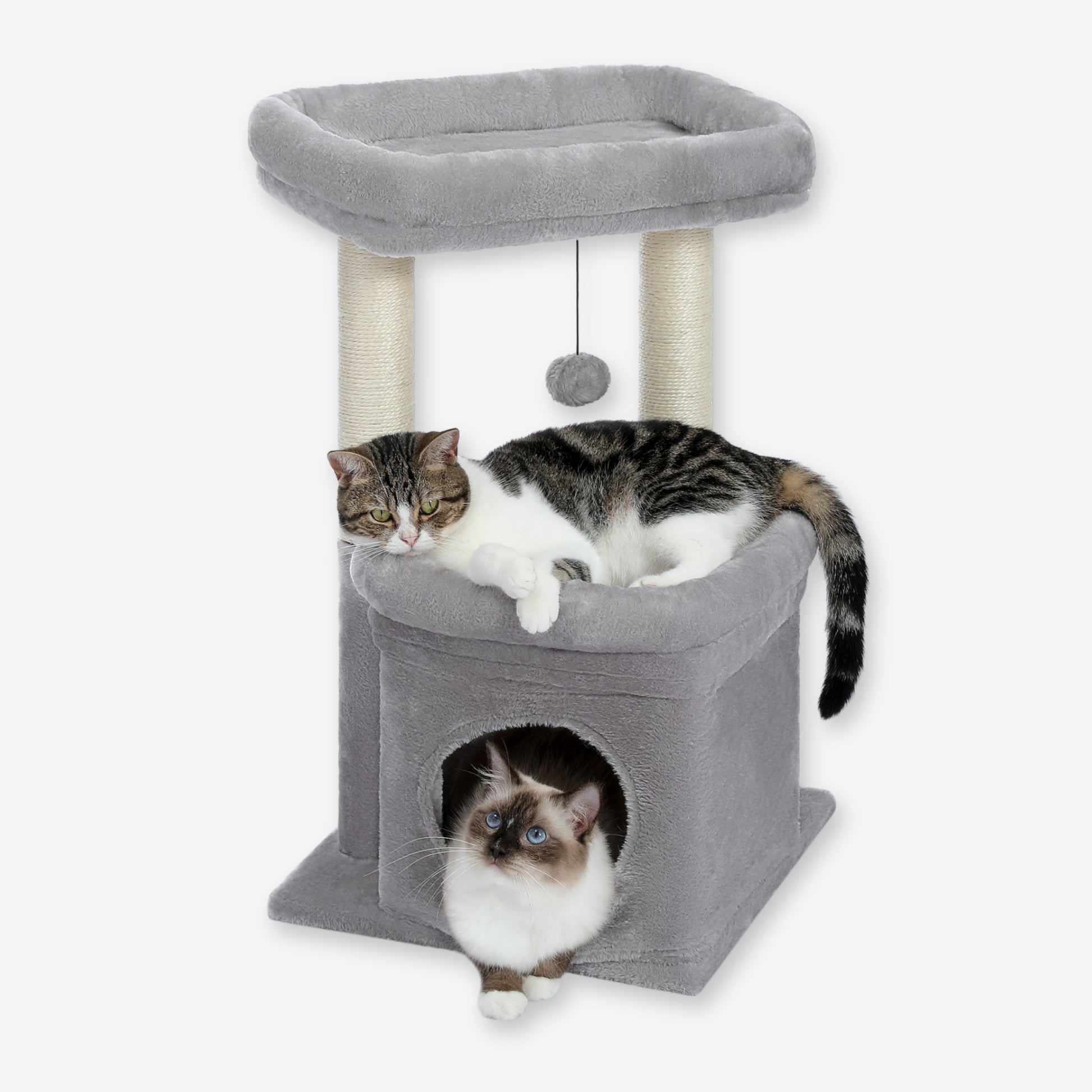 Petit Arbre à Chat avec Cabane gris