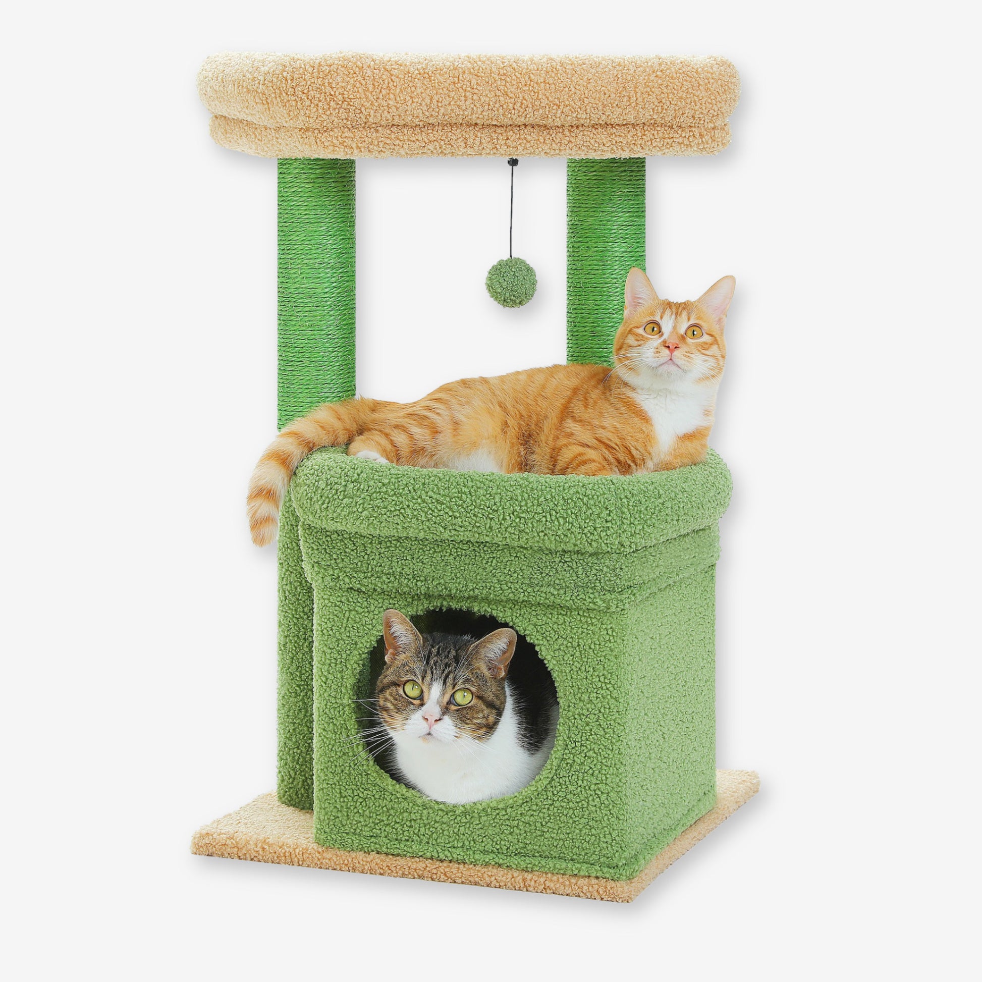 Petit Arbre à Chat avec Cabane vert