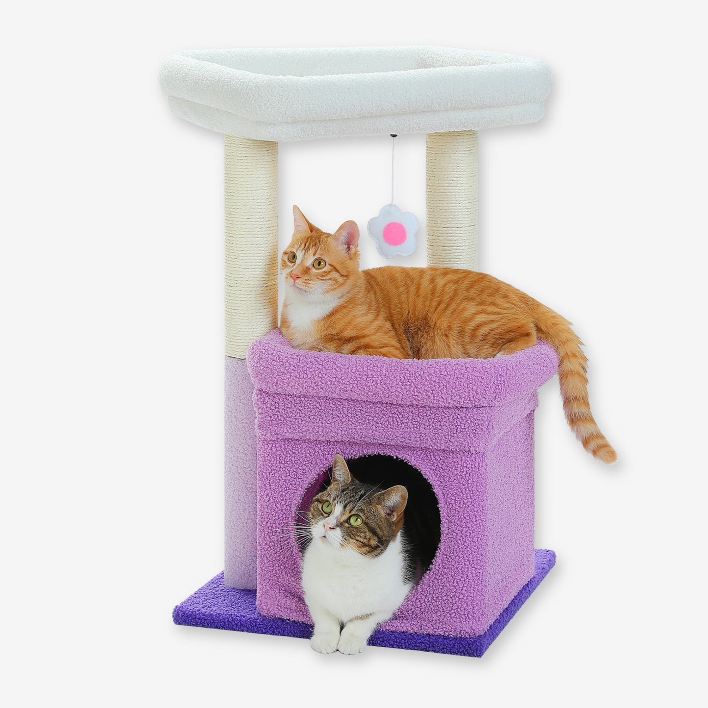 Petit Arbre à Chat avec Cabane violet