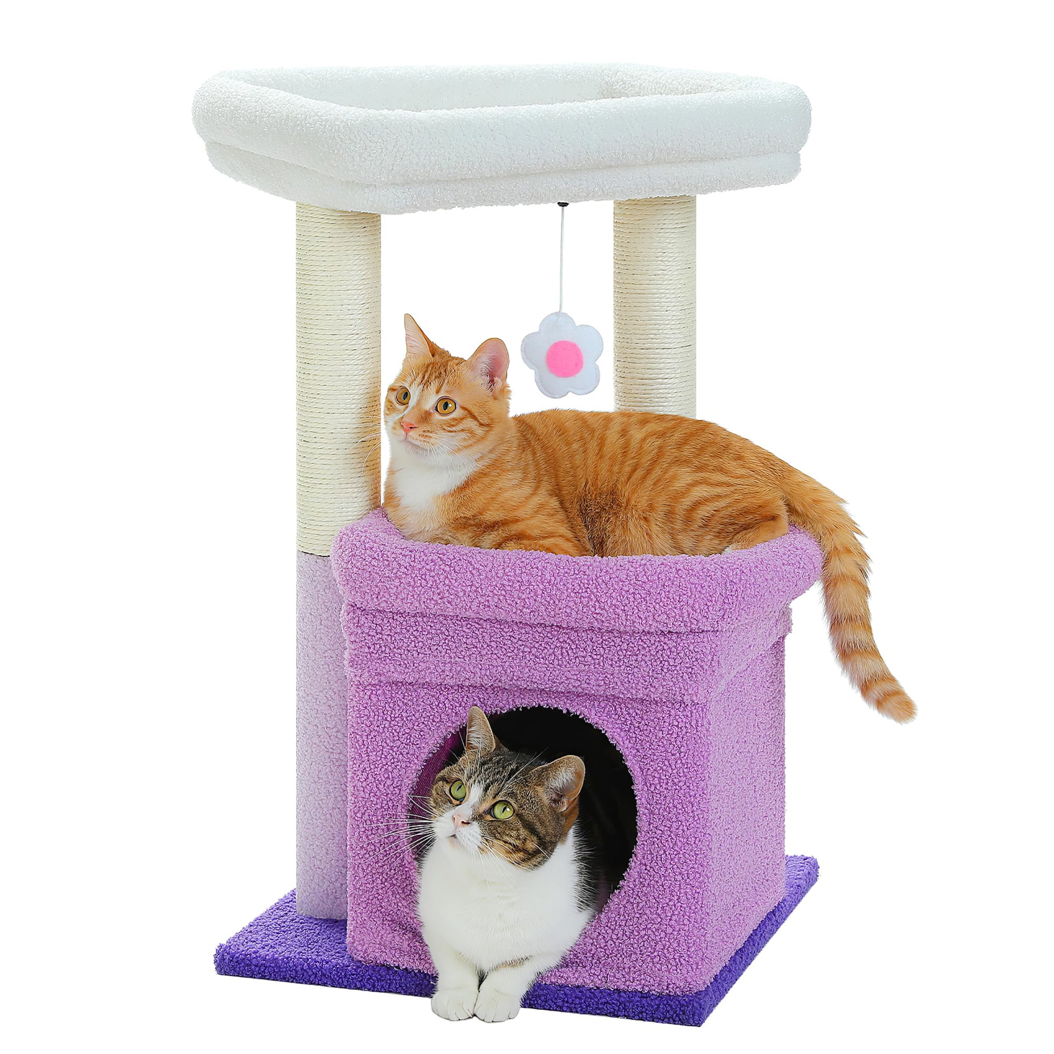 Petit Arbre à Chat avec Cabane