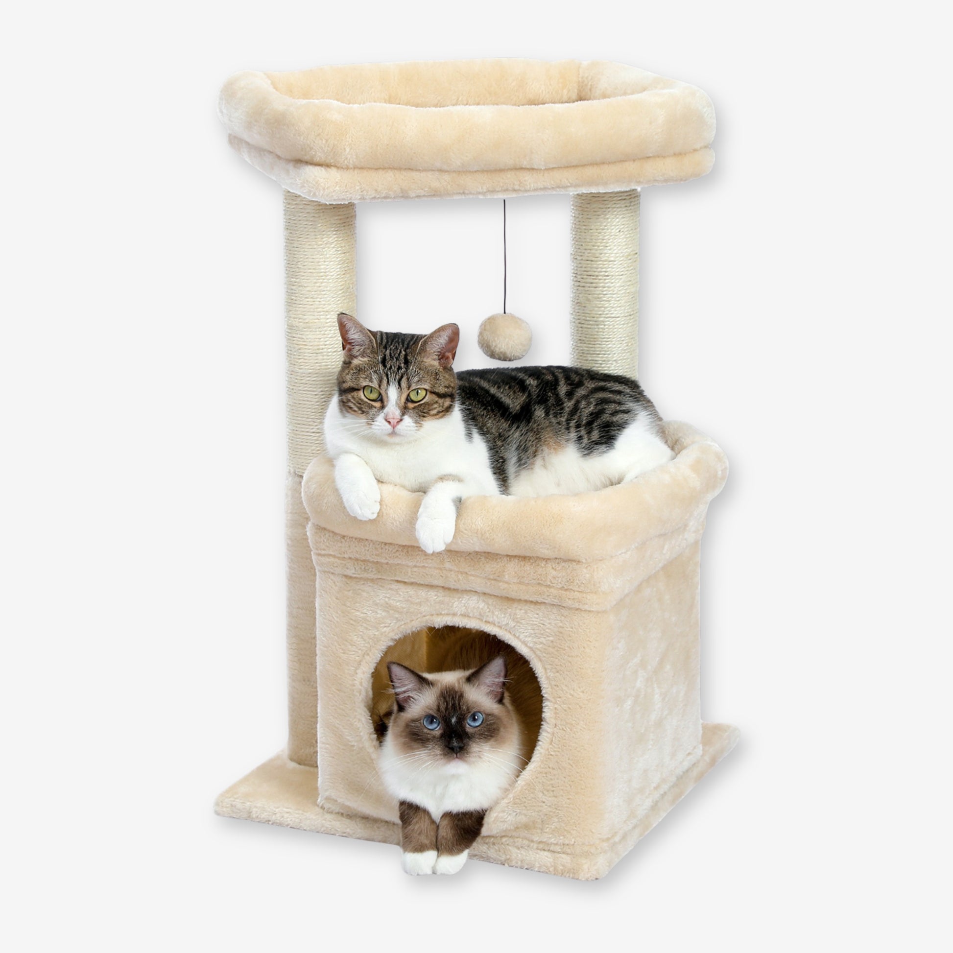 Petit Arbre à Chat avec Cabane