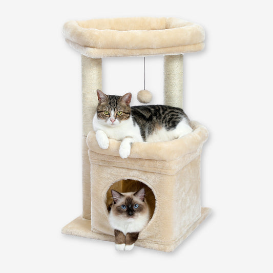 Petit Arbre à Chat avec Cabane