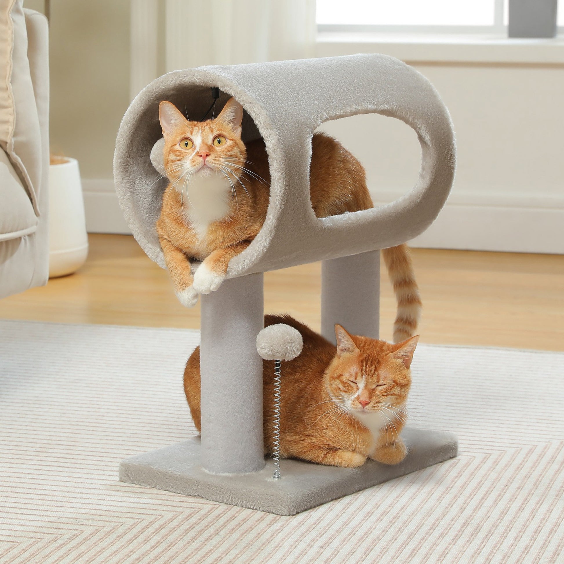 Petit Arbre à Chat avec Tunnel