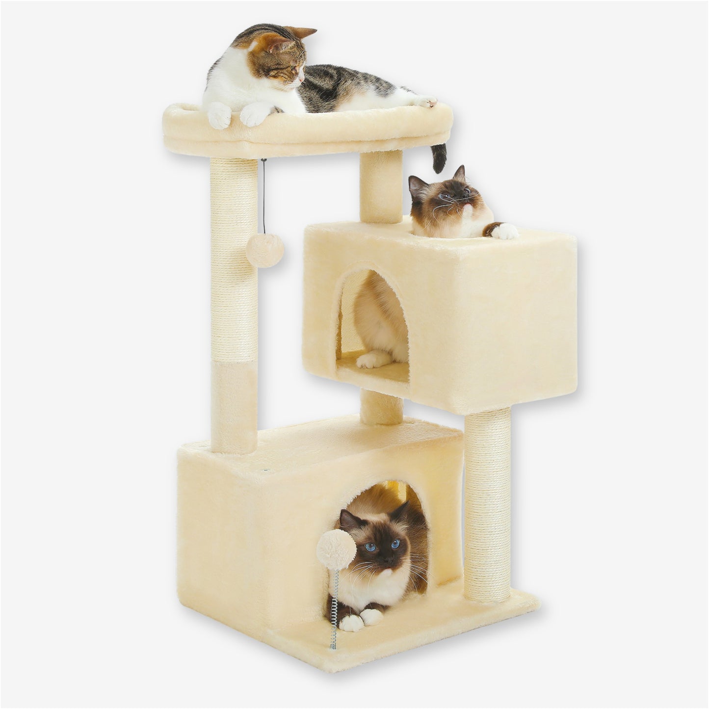 Petit Arbre à Chat 3 Paliers 