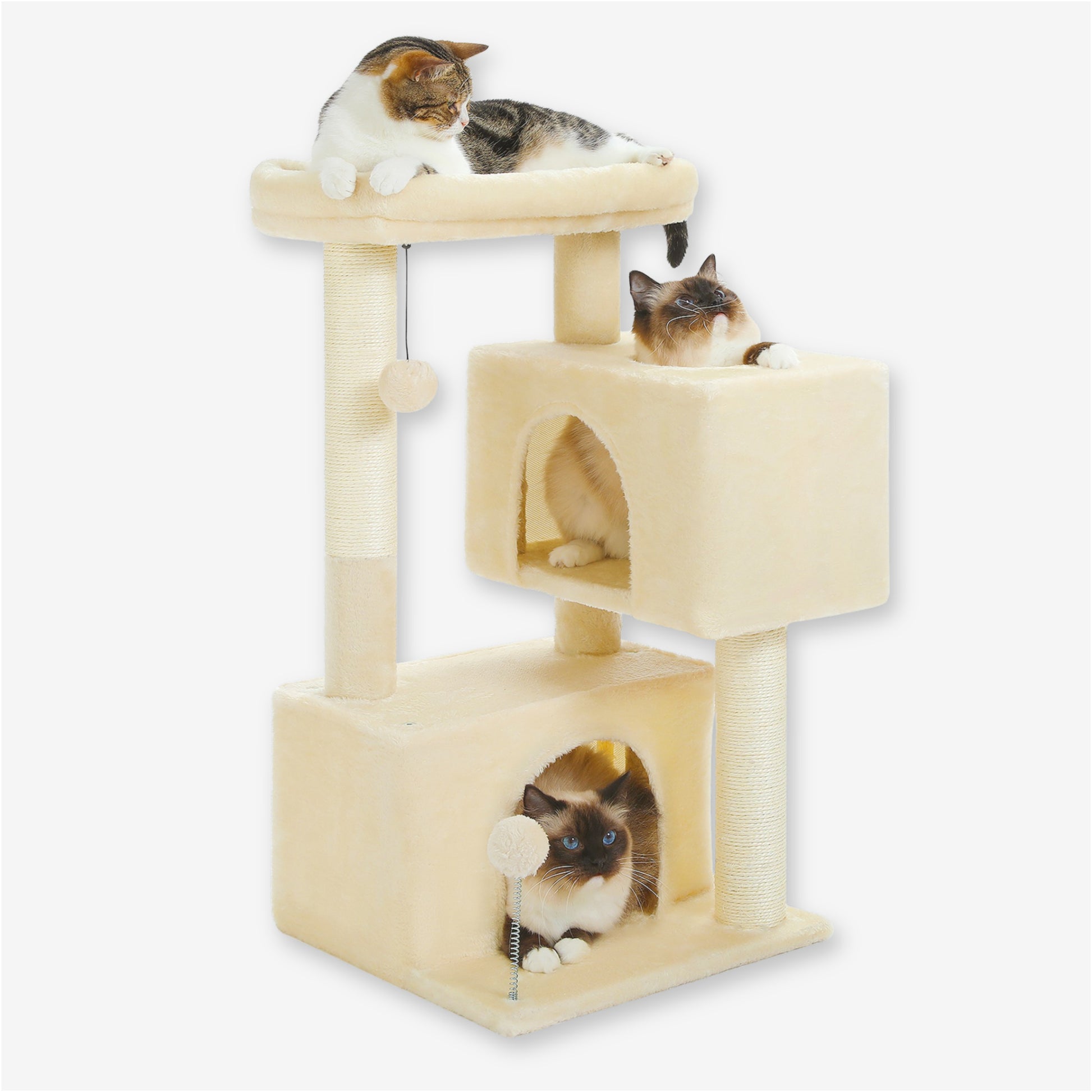 Petit Arbre à Chat 3 Paliers 