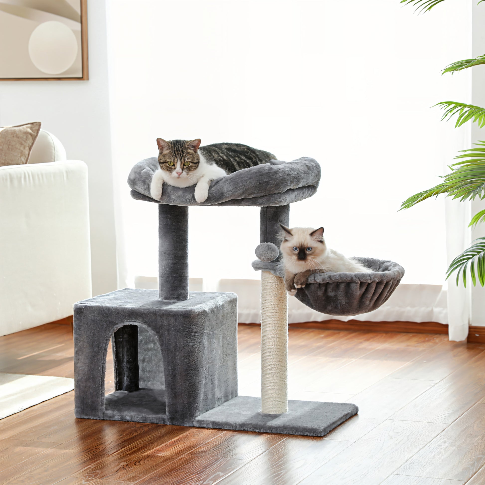 Petit Arbre à Chat avec Hamac