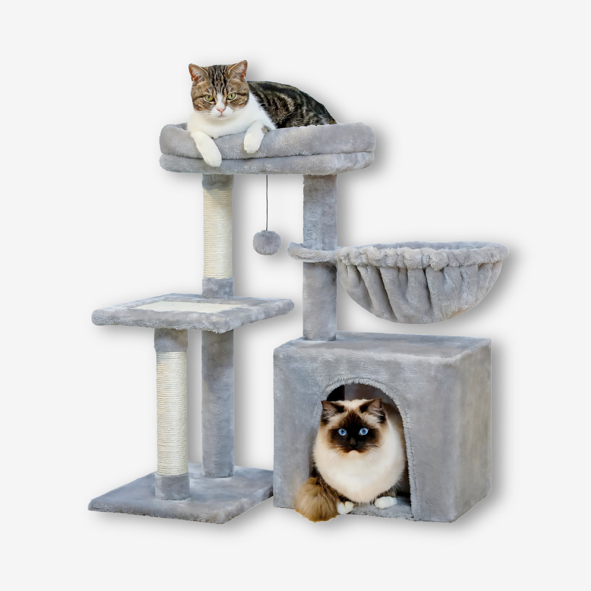 Petit Arbre à Chat Gris