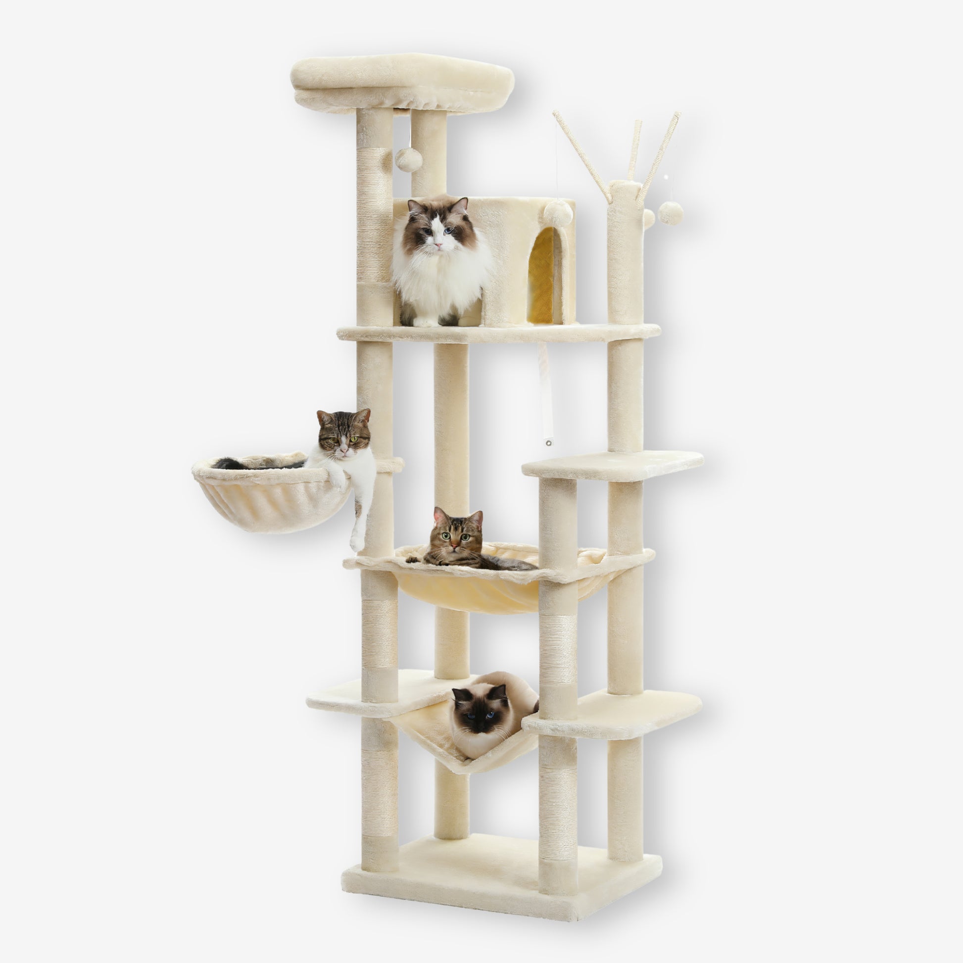 Arbre à Chat avec 3 Hamacs