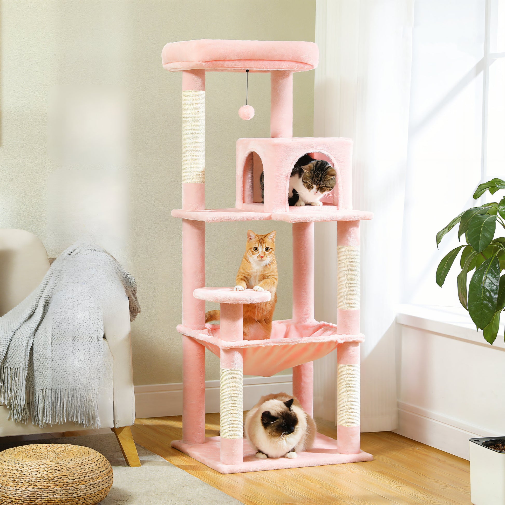 Arbre à Chat de Couleur Rose