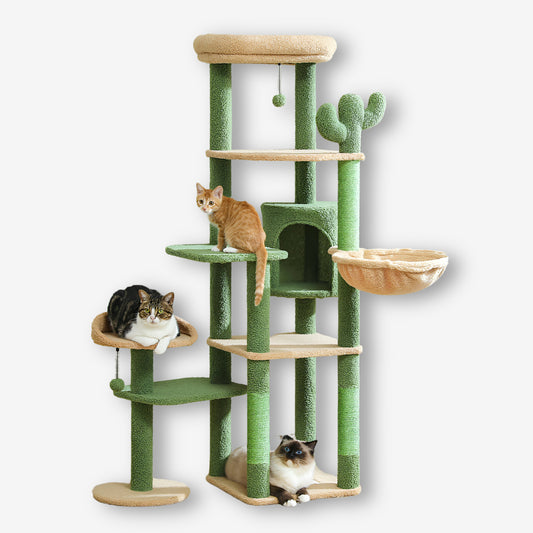 Arbre à Chat Design Cactus