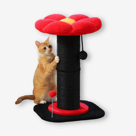 Arbre à Chat en Forme de Fleur