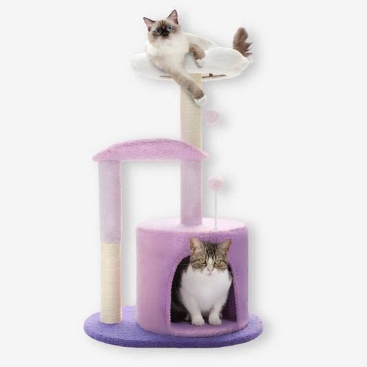Arbre à Chat Fleur Blanc