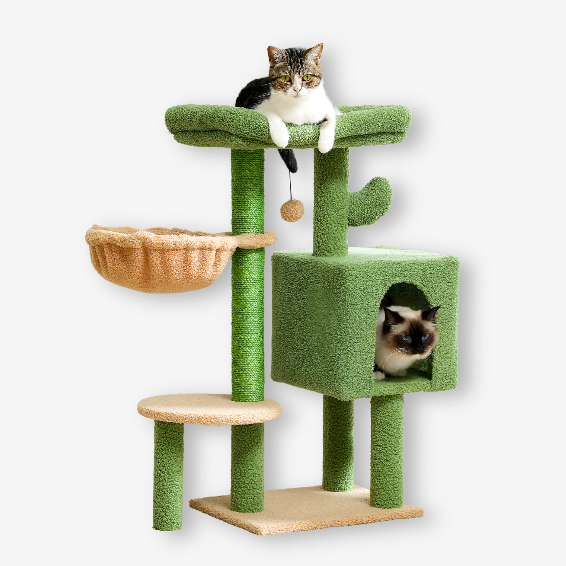 Arbre à Chat Forme Cactus