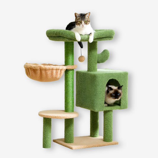 Arbre à Chat Forme Cactus
