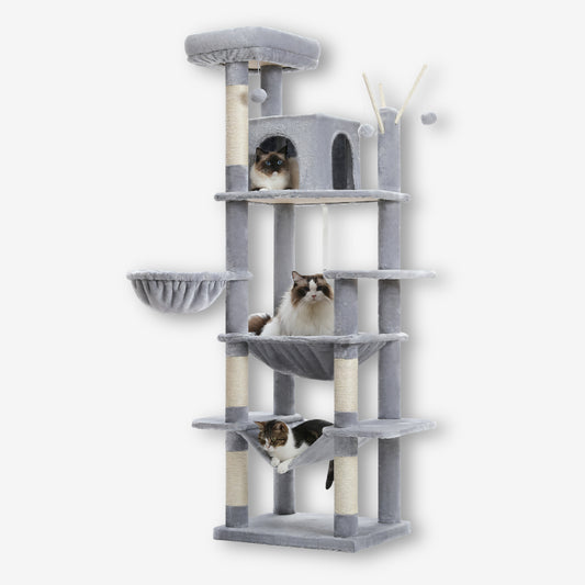 Arbre à Chat Gris Clair