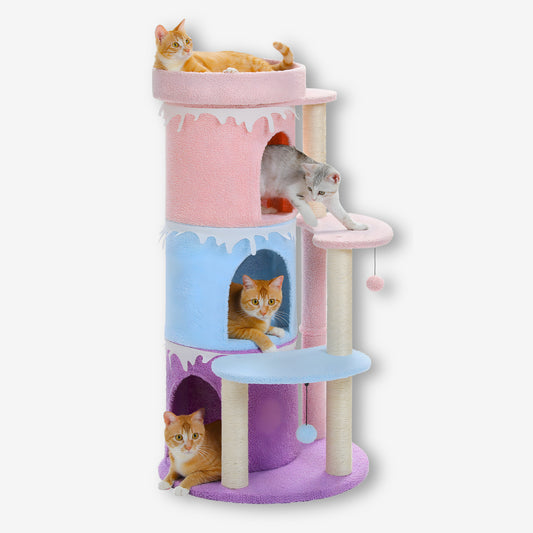 Arbre à Chat Tour