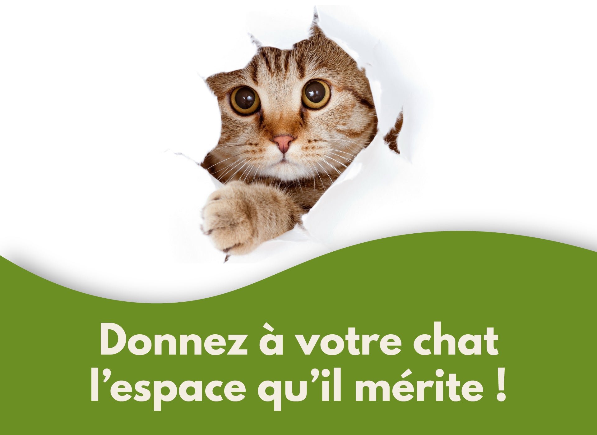 Tous nos arbres à chat