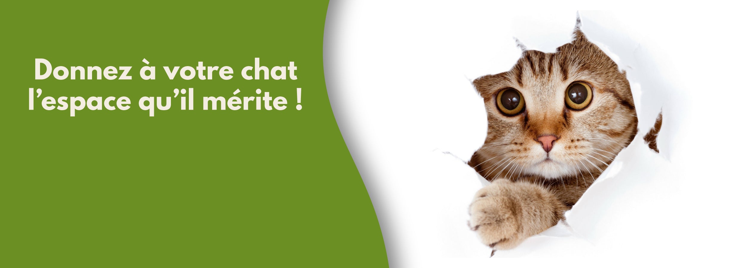 Tous nos arbres à chat