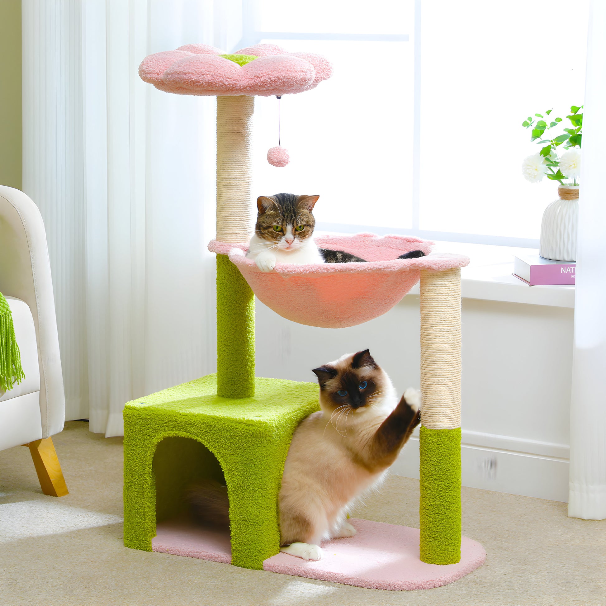 grand arbre à chat fleur deux chats