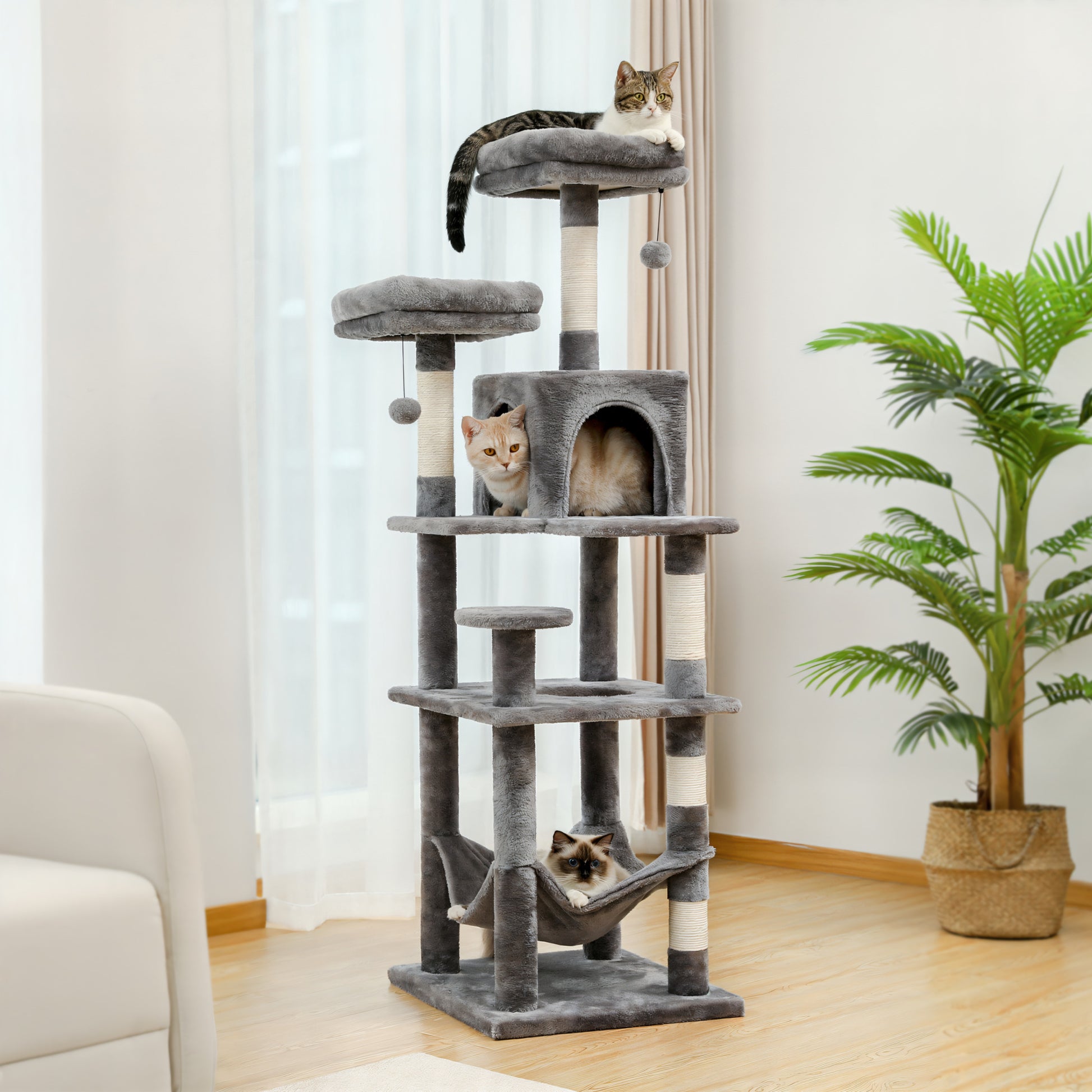 Grand Arbre à Chat Gris