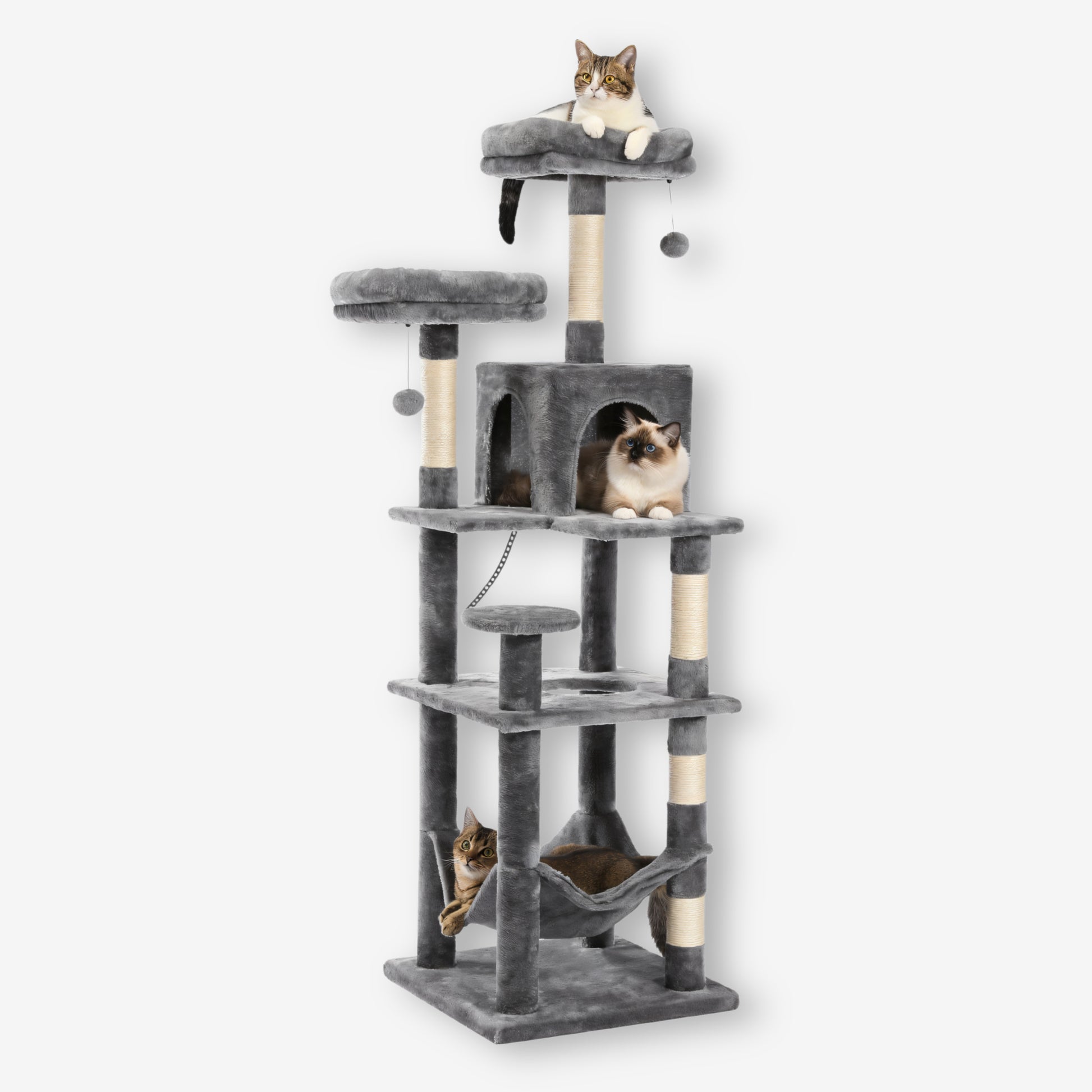 Grand Arbre à Chat Gris